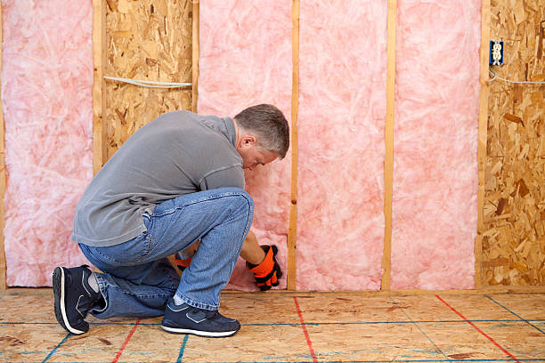 Best Cellulose Insulation in Columbus, NE